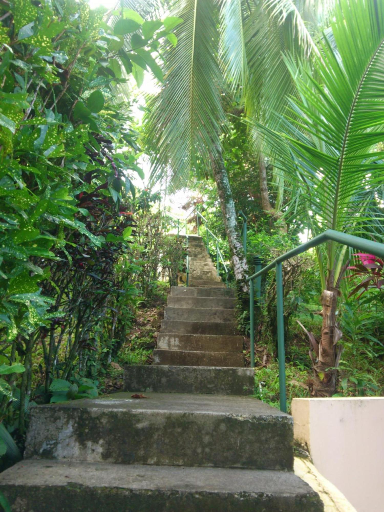 Karahe Beach Hotel Manuel Antonio Room photo
